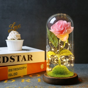 Lampada a Forma di Rosa in Cupola di Vetro, Rose di Seta Blu Artificiali con Luce LED, Regalo per Compleanno, Matrimonio, Anniversario, San Valentino - Product Image 2