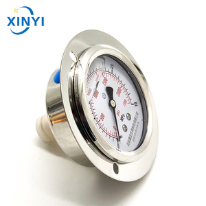 Axial Liquid-Filled Gauge DN65 (2.5") Back Connection Vibration-Resistant 2.5" Meter Liquid-Filled - Product Image 4