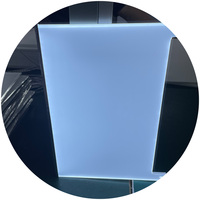 Panneau lumineux en plexiglas optique 3mm 4mm 5mm 6mm 8mm PMMA acrylique Lgb pour écran de télévision, boîte lumineuse, module de rétroéclairage