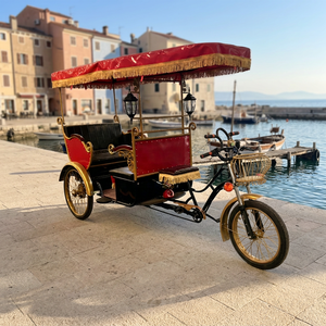 Tuk-tuk électrique à trois roues pour transport spécial, inspiré des voitures de film et de tourisme, en acier Q235B - Product Image 1