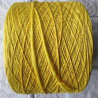 Absorption d'eau forte haute qualité multi-couleurs 100% Dty filé Polyester macramé Filament Micro vadrouille fil