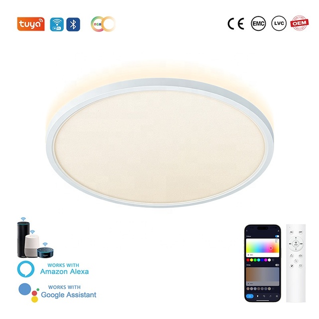 24W Smart Home LED Ceiling Lights WiFi Remote Control RGB App Control Eco-Friendly Dimmable Residential