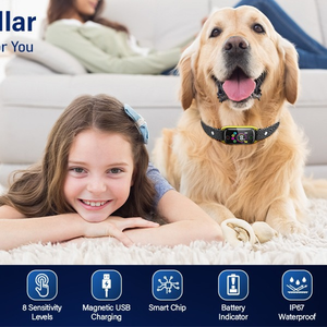 पालतू रिमोट कंट्रोल एंटी बार्किंग कॉलर कंपन ध्वनि रिचार्जेबल वाटरप्रूफ इलेक्ट्रिक कुत्ते प्रशिक्षण कॉलर - Product Image 2
