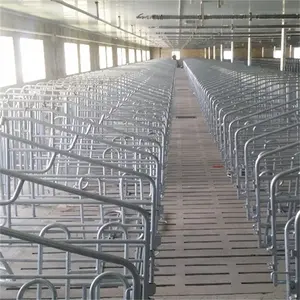 Gieo giao phối và mang thai thùng cho lợn - Product Image 4