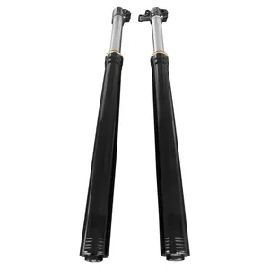 51/54 830mm USD Fork Electric Motorcycle Inverted Front Fork