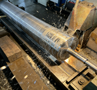 Roulements à rouleaux chromés durs, résistants à l'usure et à longue durée de vie, pour machines industrielles (applications de roulement/corrugation)