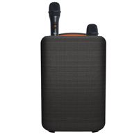 Enceinte Bluetooth 50W portable, mini enceinte karaoké RVB pour fête, microphone intégré, subwoofer portable 6000mAh