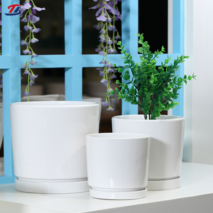 Macetas <span class=keywords><strong>de</strong></span> Cerámica Blanca Redondas para Interiores, Ecológicas, con Orificio <span class=keywords><strong>de</strong></span> Drenaje, para Hogar y Jardín, Personalizadas OEM - Product Image 1