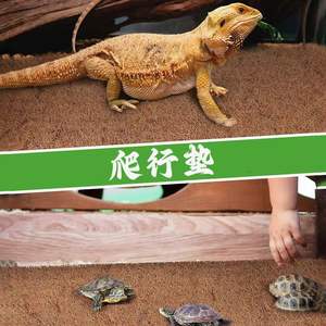 Tapis de culture de plantes en fibre de Jute de haute qualité tapis de fibre de coco de <span class=keywords><strong>paillis</strong></span> d'arbre naturel contrôle des mauvaises herbes tapis hydroponique de Jute écologique pour Microgreen - Product Image 6