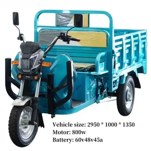 Elektro-Ladungsdreirad 1000 W für Lieferung 3-Rad-Elektrofahrräder für Erwachsene