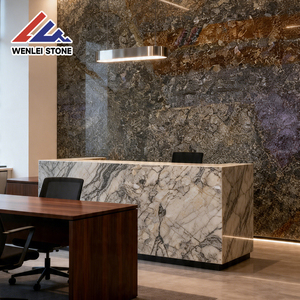 Lastra di Marmo Nero Dorato di Lusso Wenlei, Pietra Naturale con Venature Dorate per Pareti, Pavimenti, Piani di Lavoro, Cucina, Esterni e Design di Ville - Product Image 5