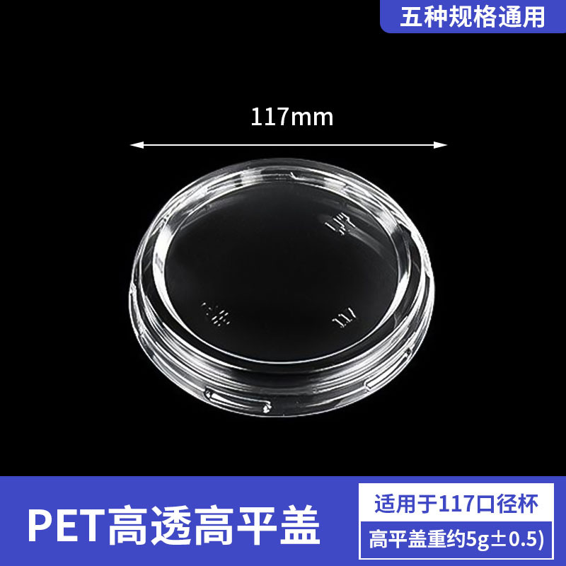 Casquette plate PET117