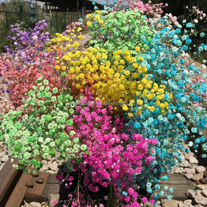 Il respiro del bambino ha conservato la corona di testa di rosa <span class=keywords><strong>con</strong></span> fiori secchi personalizzabile dimensione Yunnan origine naturale decorazione di nozze - Product Image 1