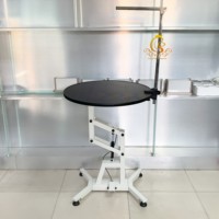 Table de toilettage pour chiens EUR PET, portable, en acier et caoutchouc, avec éclairage, sur mesure, avec élévateur hydraulique pour animaux de compagnie