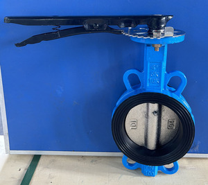 Lightweight Double Drive Manual with <b>Clamp</b> Type Handle Zero Leakage and Corrosion-Resistant Opening/Closing - Product Image 6