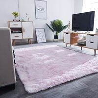 Tapis en peluche coloré, épais, antidérapant et lavable en machine. Il convient aux autres types de sols.