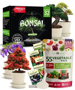 Groothandel Bonsai Boom <span class=keywords><strong>Live</strong></span> <span class=keywords><strong>Plant</strong></span> Starterskit Boerderij Voor Thuis Groente Tuinieren Binnenplanten Erfstuk Tuinieren Tuinieren Geschenken - Product Image 1