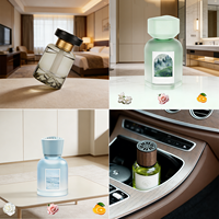 Parfum d'ambiance pour voiture Grandy, liquide naturel, moderne, pour vitres de voiture, avec parfum longue durée