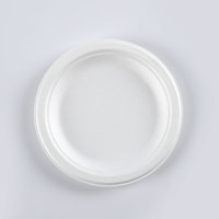 Boîte à lunch jetable biodégradable de 6 pouces en papier de canne à sucre et de bagasse avec insert en bambou maintenant disponible pour le marché des EAU