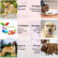 Compléments alimentaires liquides multivitaminés 100 % naturels pour animaux de compagnie, marque privée, en vrac, 15 en 1, gouttes multivitaminées pour chiens