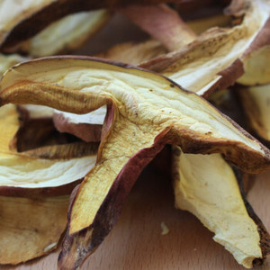 Vente de gros edulis <span class=keywords><strong>Boletus</strong></span> Edulis <span class=keywords><strong>Boletus</strong></span> <span class=keywords><strong>Luteus</strong></span> Champignons séchés - Product Image 5