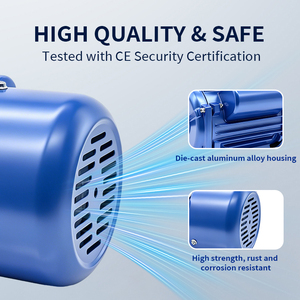 มอเตอร์ปั๊มน้ำเฟสเดียว 110/220V, โครงเหล็กหล่อ สายทองแดง 100% - Product Image 2