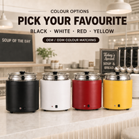 Chauffe-soupe commercial 11L électrique en acier inoxydable 304 avec pot intérieur amovible, chauffage à sec pour buffet, couvercle rabattable, 220V 500W, pour hôtels et traiteurs