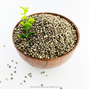 Vente en gros <span class=keywords><strong>de</strong></span> <span class=keywords><strong>graines</strong></span> <span class=keywords><strong>de</strong></span> chanvre biologiques 99% pures décortiquées et non décortiquées à vendre - Product Image 2