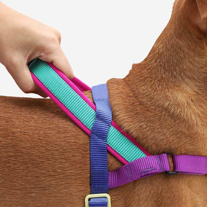 Nuevo arnés para perros con logotipo personalizado, capa de aire acolchada ajustable, arnés para perros, correa para collar de perro de goma, <span class=keywords><strong>bolsa</strong></span> - Product Image 3