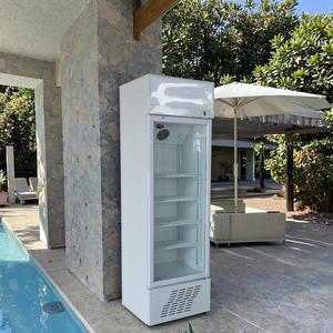 Duy Nhất Nhiệt Độ Thẳng Đứng Thanh Tủ Lạnh Có Thể Điều Chỉnh Kệ Tủ Lạnh Không Khí Quạt Cho Đồ Uống Lạnh Hiển Thị Tủ Đông <span class=keywords><strong>Showcase</strong></span> - Product Image 2