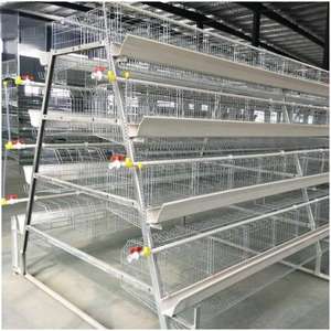 Motor de Jaula de Batería para Gallinas Ponedoras de Calidad Superior 80 para Avicultura Galvanizada en Bangladesh - Product Image 2