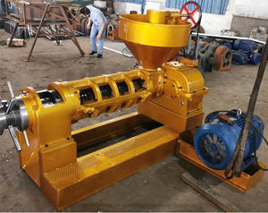 ZHENGZHOU DINGSHENG Machine d'extraction de presse à fraiser à huile automatique Castor et arachide à haut rendement pour huile de soja - Product Image 4