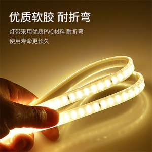 Wholesale IP67 Waterproof Smd5050 <strong>Led</strong> Strips <strong>Color</strong> <strong>Changeable</strong> Flexible 220v 14.4w <strong>Led</strong> Strip <strong>Light</strong> - Product Image 4