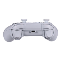 Control de Juego con Doble Sensor de Movimiento y Motores Dobles para Vibración, Correa Programable con Luces RGB para NS/PC/Android