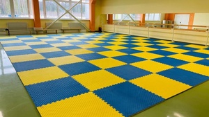 Tapis de judo, kabaddi, taekwondo de haute qualité en EVA de 3 cm, 1 m x 1 m, pour salle de sport, arts martiaux, tatami en puzzle, tapis de karaté WKF, 5 lignes personnalisables - Product Image 6