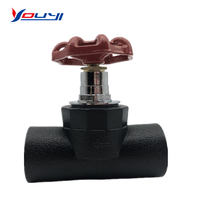 Katup Globe PPR PE YOUYI Langsung dari Pabrik Berkualitas Tinggi DN15-DN100 Air Suhu Normal Manual