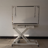 Table de toilettage électrique haut de gamme EURVET pour animaux, réglable en hauteur avec double commande