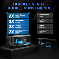 Batterie au lithium LiFePO4 ShunTongDa 24V 200Ah Groupe 8D avec BMS intelligent pour camping-car, marine, yacht, stockage solaire, UPS et sauvegarde industrielle