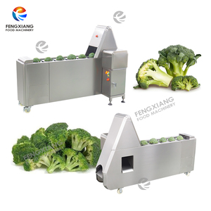 Machine automatique de séparation des fleurs de brocoli, alimentation directe usine, moteur en acier inoxydable SUS304 pour usine de transformation des légumes - Product Image 1
