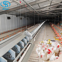 Nouvel équipement avicole automatique en plastique pour élevage de poulets de chair, système d'alimentation en paniers avec garantie d'un an pour 10 000 oiseaux, poulailler