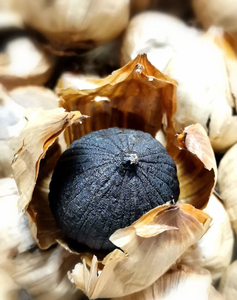 <span class=keywords><strong>Ail</strong></span> <span class=keywords><strong>noir</strong></span> fermenté <span class=keywords><strong>vieilli</strong></span>, saveur balsamique douce, réaction Maillard, sans additifs ni conservateurs, superaliment, prix de gros - Product Image 5