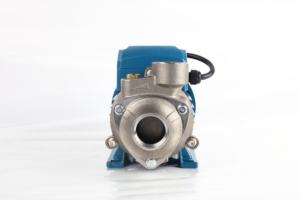 Corps de <span class=keywords><strong>pompe</strong></span> en acier inoxydable <span class=keywords><strong>Pompe</strong></span> à eau périphérique QB60 Pompes à eau <span class=keywords><strong>Pedrollo</strong></span> Design - Product Image 2