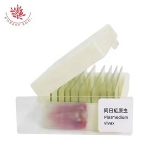 Биологические лабораторные слайды для медицинского обучения Plasmodium <span class=keywords><strong>Vivax</strong></span>, высокообразовательный исследовательский микроскоп, подготовленные слайды - Product Image 3