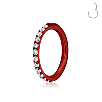 Anneau de nez en acier inoxydable G23 16G 18G, segment articulé, pour cartilage, tragus, hélix, daith, septum, clicker, bijoux de piercing