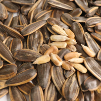 Graines de tournesol Pecon Date Coco Noix Caramel Citron Crème épicée Saveur Salage Rôtissage Sec Durci Graines de tournesol noires grillées