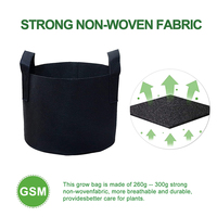 Conteneur de plantes en tissu non tissé de 5 gallons pour la croissance des fleurs et des plantes Durable et respirant