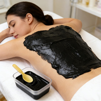 Marque privée : Boue de moxibustion à base de plantes au gingembre pour le corps, patch chauffant et emplâtre chauffant