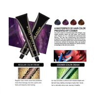 Les 72 couleurs de cheveux populaires de l'usine professionnelle Crème de teinture pour les cheveux conviviale en 72 couleurs vives