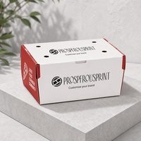 Solutions d'emballage alimentaire jetables (boîtes à hamburgers, boîtes à frites, supports coniques pour frites avec supports)