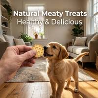 Friandises à mâcher pour chiens, riches en protéines et en collagène, au poulet et au saumon, pour un soin buccal durable, en forme de gaufre